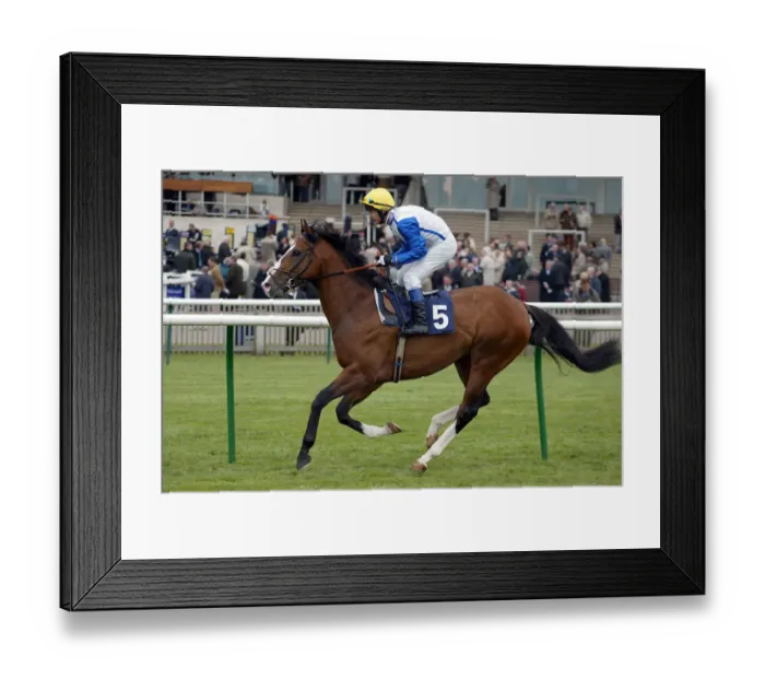 Framed Print : Woodcote Ridden By P.Robinson Newmarket Craven Meeting 2005 Newmarket Racecourse Framed Print : Woodcote Ridden By P.Robinson Newmarket Craven Meeting 2005 Newmarket Racecourse