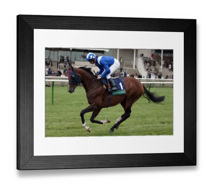 Framed Print : Alkaadhem Ridden By R.Hills Neewmarket Craven Meeting 2005 Newmarket Framed Print : Alkaadhem Ridden By R.Hills Neewmarket Craven Meeting 2005 Newmarket