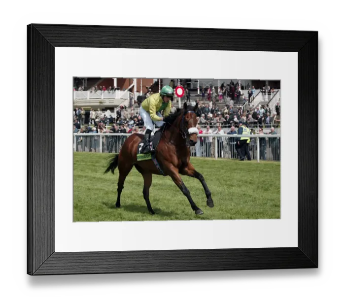 Framed Print : Magic Glade Framed Print : Magic Glade