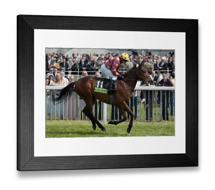 Framed Print : River Falcon Framed Print : River Falcon