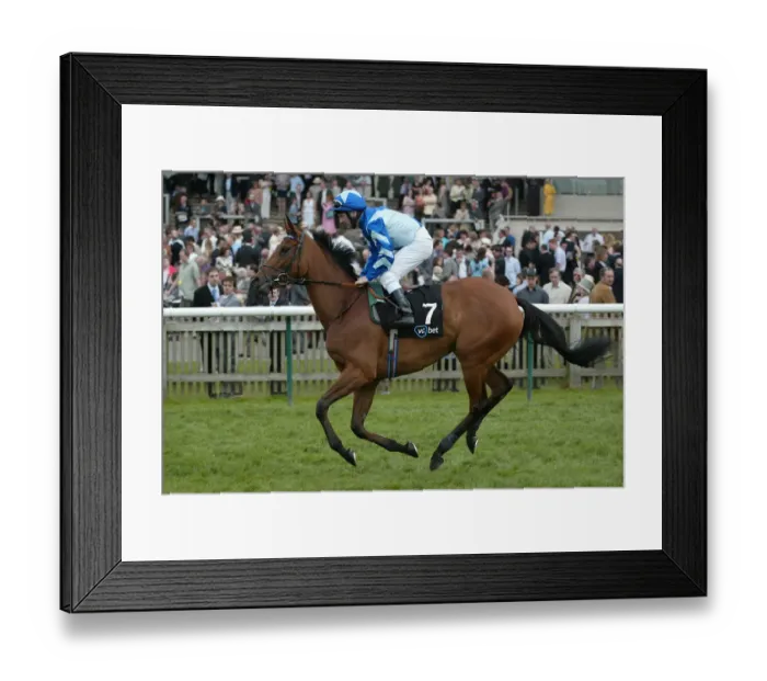 Framed Print : Tarfah Ridden By S.Sanders Guineas Meeting Newmarket 2005 Newmarket Racecourse Framed Print : Tarfah Ridden By S.Sanders Guineas Meeting Newmarket 2005 Newmarket Racecourse