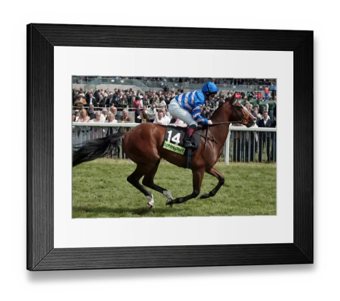 Framed Print : Alpaga Le Jomage Framed Print : Alpaga Le Jomage