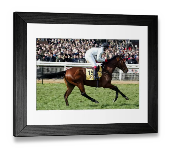 Framed Print : Reviewer Ridden By R.Thornton Cheltenham Festival 2002 Cheltenham Racecourse Framed Print : Reviewer Ridden By R.Thornton Cheltenham Festival 2002 Cheltenham Racecourse