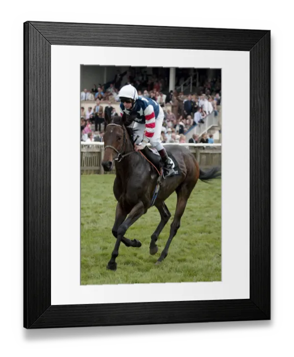Framed Print : Weecandoo Ridden By J.Mackay Guineas Meeting Newmarket 2005 Newmarket Racecourse Framed Print : Weecandoo Ridden By J.Mackay Guineas Meeting Newmarket 2005 Newmarket Racecourse