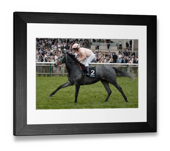 Framed Print : La Persiana Framed Print : La Persiana
