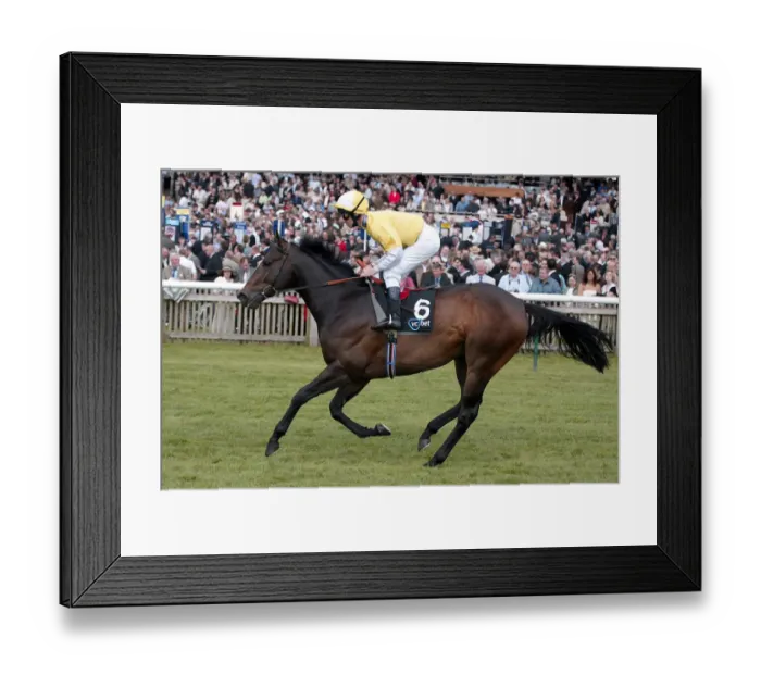 Framed Print : Moss Vale Ridden By M.Hills Guineas Festival Nemarket 2005 Newmarket Framed Print : Moss Vale Ridden By M.Hills Guineas Festival Nemarket 2005 Newmarket
