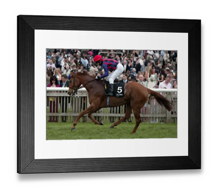 Framed Print : Shapira Ridden By K.Fallon Guineas Meeting Newmarket 2005 Newmarket Racecourse Framed Print : Shapira Ridden By K.Fallon Guineas Meeting Newmarket 2005 Newmarket Racecourse