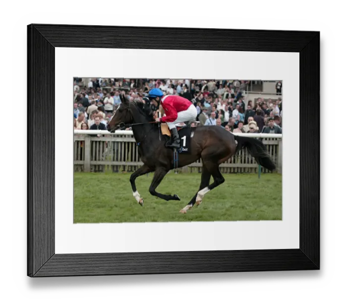 Framed Print : Red Bloom Ridden By J.Murtagh Guineas Meeting Newmarket 2005 Newmarket Racecourse