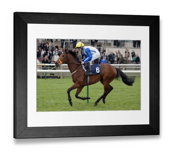 Framed Print : Surwaki Ridden By J.P.Spencer Newmarket Craven Meeting 2005 Newmarket Framed Print : Surwaki Ridden By J.P.Spencer Newmarket Craven Meeting 2005 Newmarket