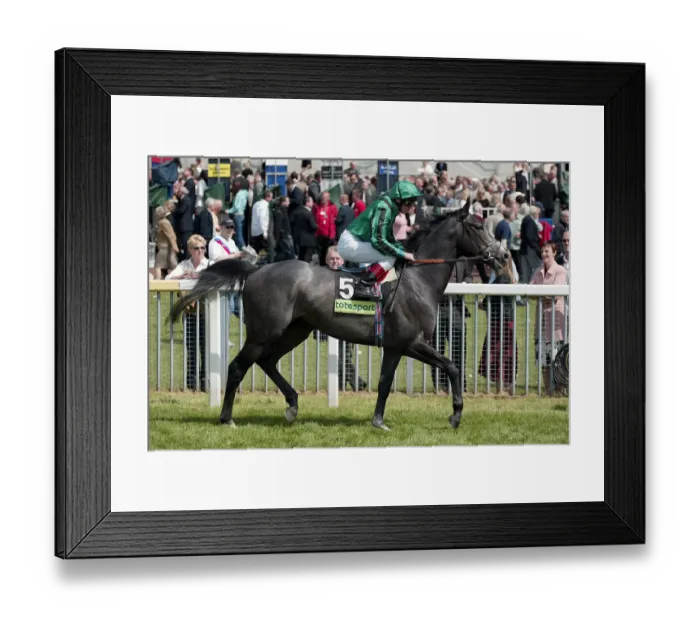 Framed Print : Proclamation Framed Print : Proclamation