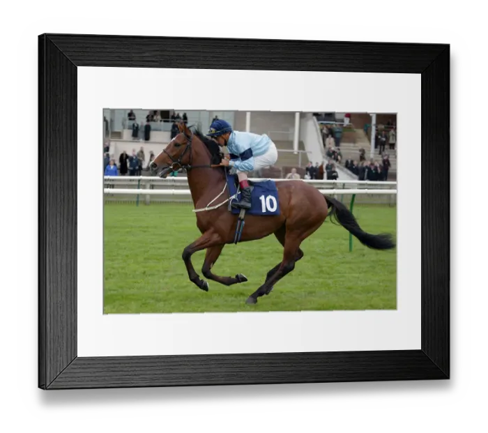 Framed Print : Hadrian Ridden By R.Ffrench Newmarket Craven Meeting 2005 Newmarket Framed Print : Hadrian Ridden By R.Ffrench Newmarket Craven Meeting 2005 Newmarket