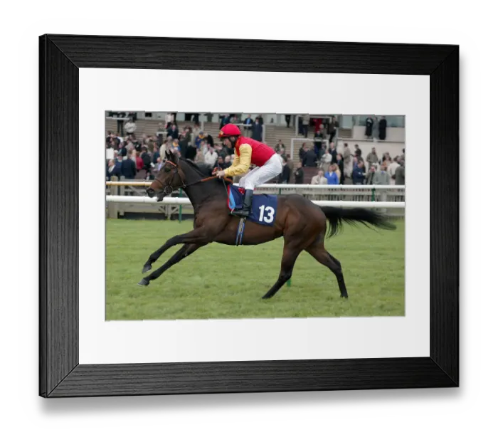 Framed Print : Goodwood Spirit Framed Print : Goodwood Spirit