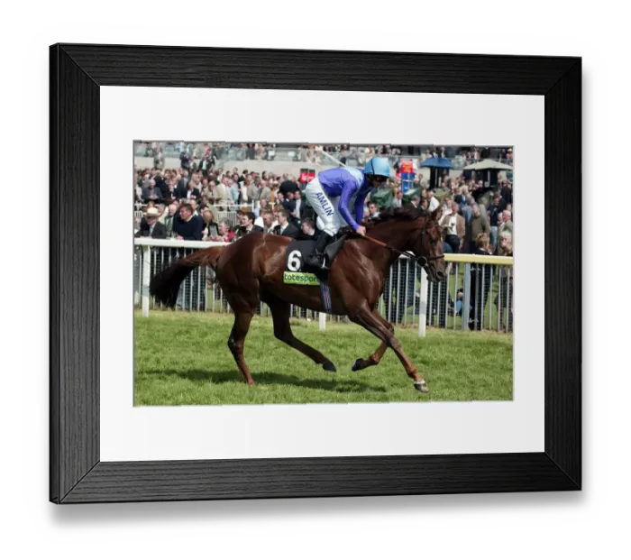 Framed Print : The Geezer Framed Print : The Geezer