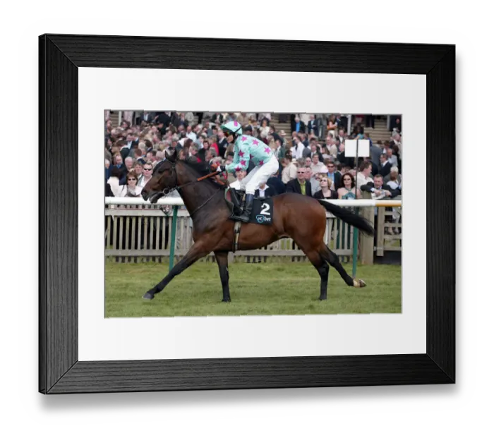 Framed Print : Night Prospector
