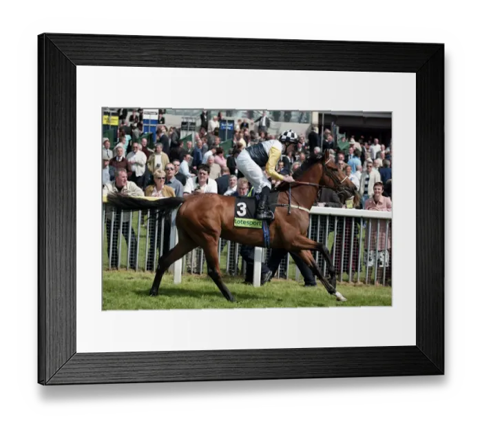 Framed Print : Kandidate Ridden By R.L.Moore York May Festival 2005 York Racecourse Framed Print : Kandidate Ridden By R.L.Moore York May Festival 2005 York Racecourse