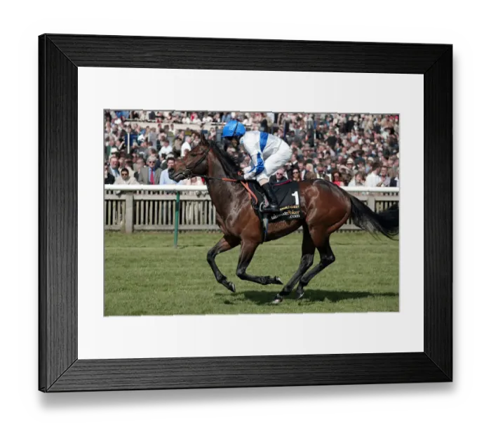 Framed Print : Capable Guest Framed Print : Capable Guest