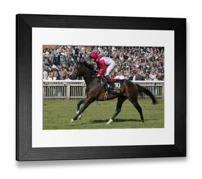 Framed Print : Mister Genepi