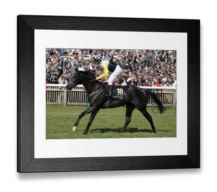 Framed Print : Tony James Framed Print : Tony James