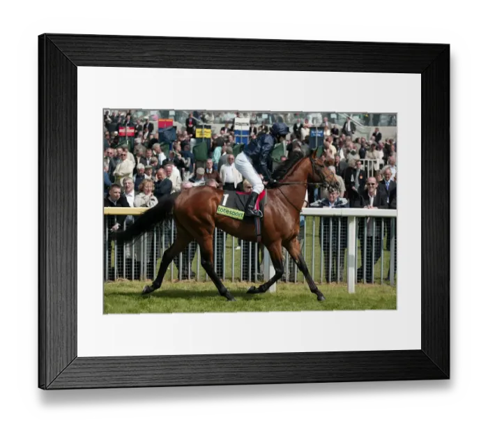 Framed Print : Albert Hall Framed Print : Albert Hall