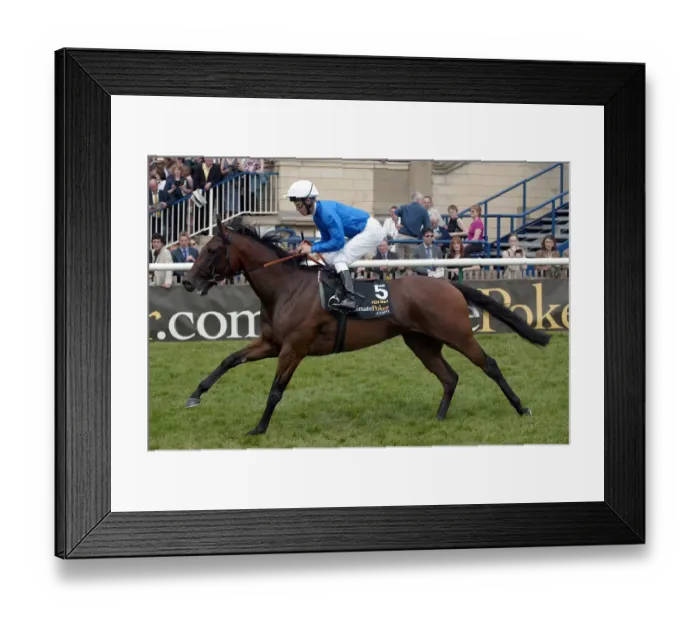 Framed Print : Fen Shui Ridden By K.Mcevoy Guineas Meeting Newmarket 2005 Newmarket Racecourse Framed Print : Fen Shui Ridden By K.Mcevoy Guineas Meeting Newmarket 2005 Newmarket Racecourse
