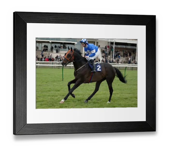 Framed Print : Quito Ridden By A.Culhane Newmarket Craven Meeting 2005 Newmarket Framed Print : Quito Ridden By A.Culhane Newmarket Craven Meeting 2005 Newmarket