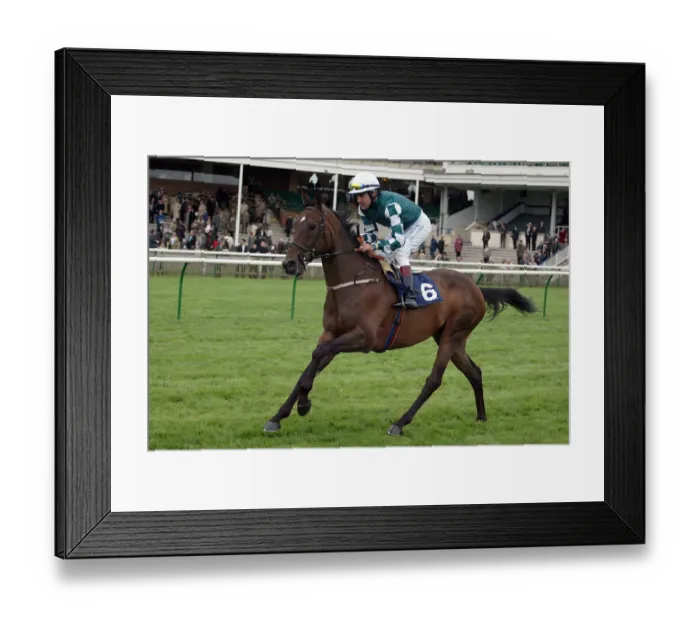 Framed Print : Prince Tum Tum Framed Print : Prince Tum Tum