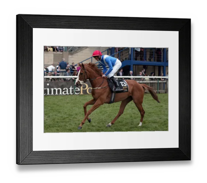 Framed Print : Pictavia Ridden By K.J.Manning Guineas Meeting Newmarket 2005 Newmarket Racecourse Framed Print : Pictavia Ridden By K.J.Manning Guineas Meeting Newmarket 2005 Newmarket Racecourse