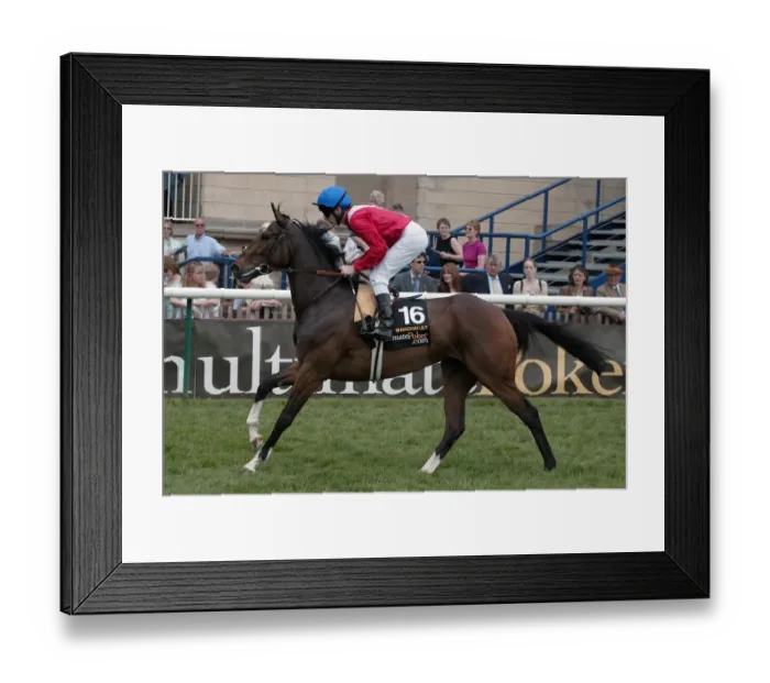 Framed Print : Shanghi Lily Framed Print : Shanghi Lily