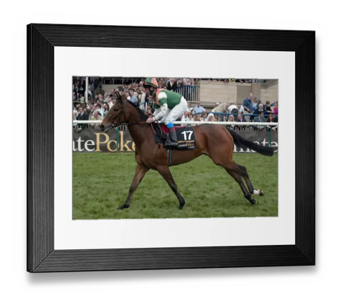 Framed Print : Simply Sunshine Framed Print : Simply Sunshine