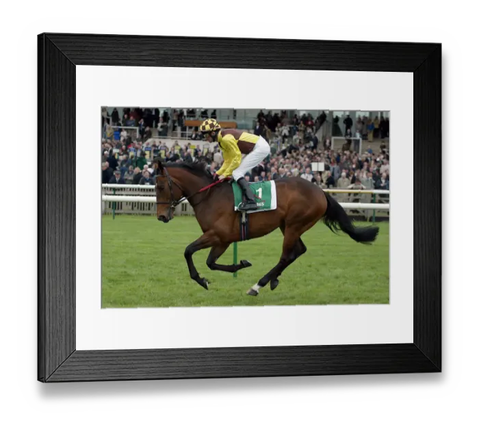 Framed Print : Democratic Deficit