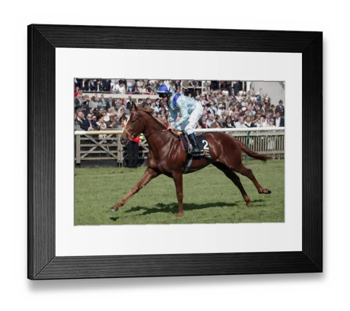 Framed Print : David Junior Framed Print : David Junior