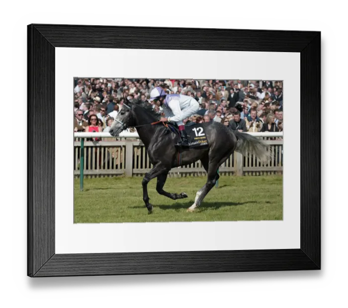 Framed Print : Party Boss Framed Print : Party Boss