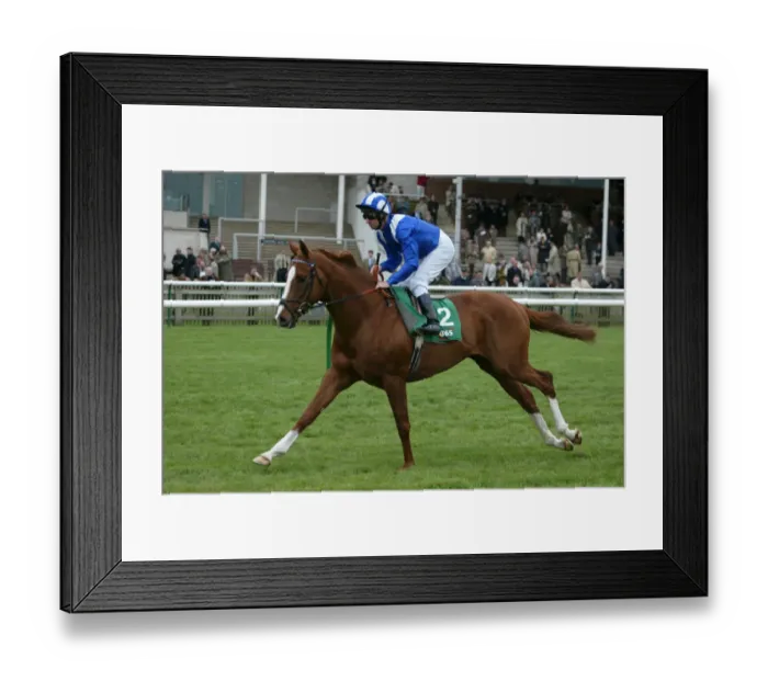 Framed Print : Etlaala Ridden By R.Hills Newmarket Craven Meeting 2005 Newmarket Framed Print : Etlaala Ridden By R.Hills Newmarket Craven Meeting 2005 Newmarket