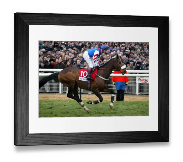 Framed Print : Looks Like Trouble Framed Print : Looks Like Trouble