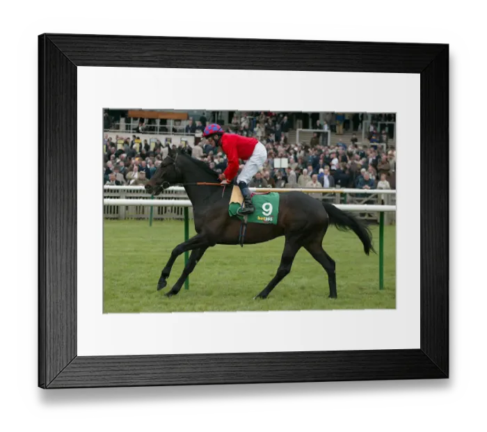 Framed Print : Rob Roy Ridden By M.J.Kinane Newmarket Craven Meeting 2005 Newmarket Framed Print : Rob Roy Ridden By M.J.Kinane Newmarket Craven Meeting 2005 Newmarket