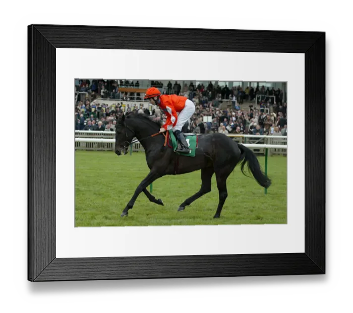 Framed Print : Montgomerys Arch Framed Print : Montgomerys Arch
