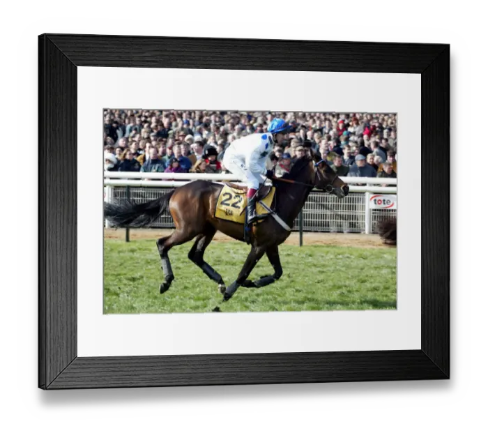 Framed Print : Volano Ridden By Richard Johnson Cheltenham Festival 2002 Cheltenham Racecourse Framed Print : Volano Ridden By Richard Johnson Cheltenham Festival 2002 Cheltenham Racecourse