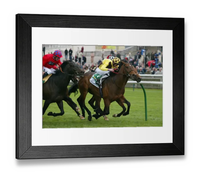 Framed Print : Democratic Deficit & Wins Craven Stks Framed Print : Democratic Deficit & Wins Craven Stks