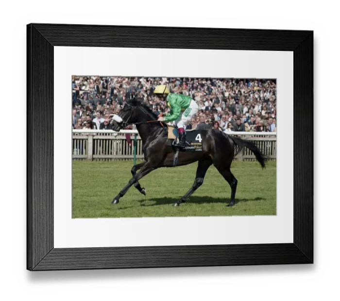 Framed Print : Diktatorial Framed Print : Diktatorial