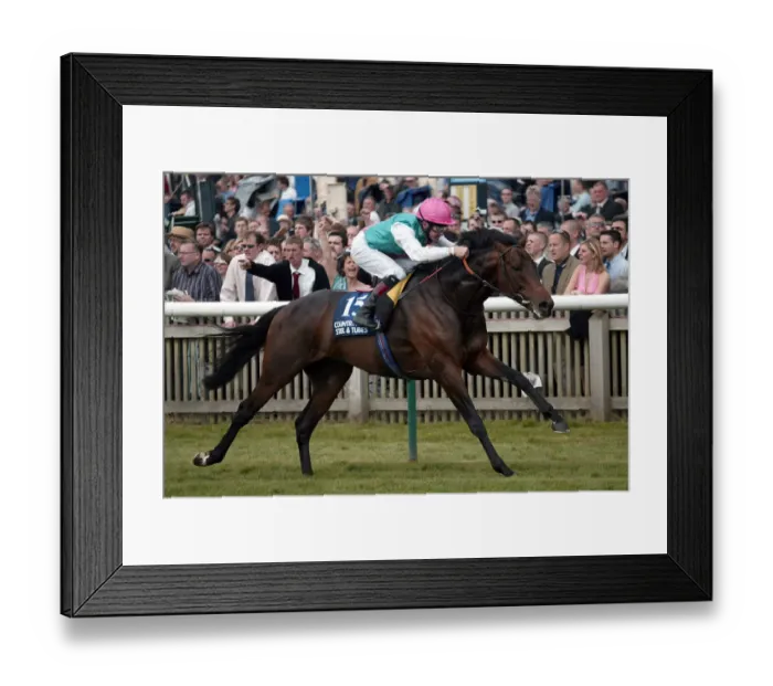 Framed Print : Notable Guest