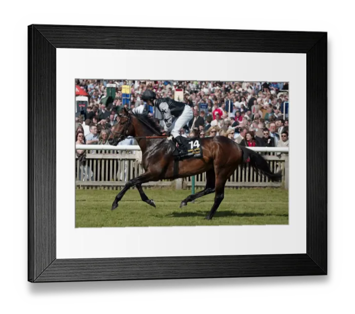 Framed Print : Rebel Rebel Framed Print : Rebel Rebel