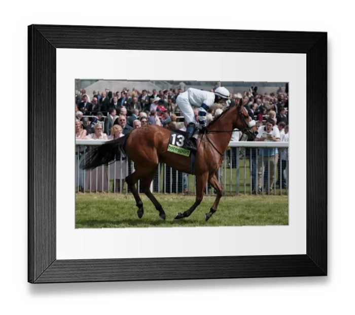 Framed Print : Frascati Ridden By P.Mathers York May Festival 2005 York Racecourse