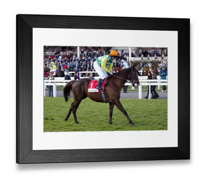 Framed Print : Indian Spark Framed Print : Indian Spark