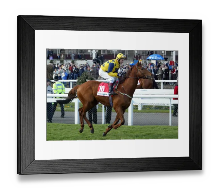 Framed Print : Bannister Ridden By Dean Mckeown Doncaster Races Doncaster Racecourse Framed Print : Bannister Ridden By Dean Mckeown Doncaster Races Doncaster Racecourse