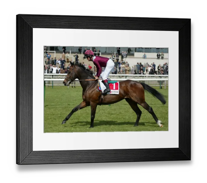 Framed Print : Invincible