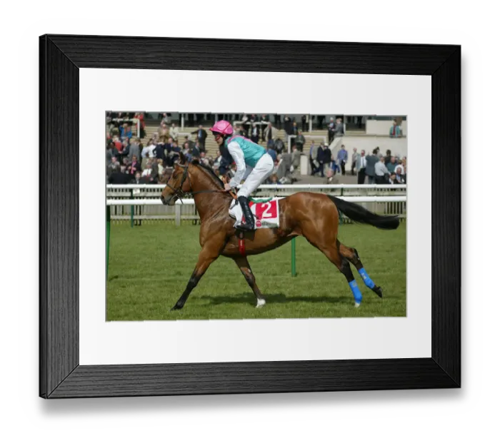 Framed Print : Welcome Friend Framed Print : Welcome Friend