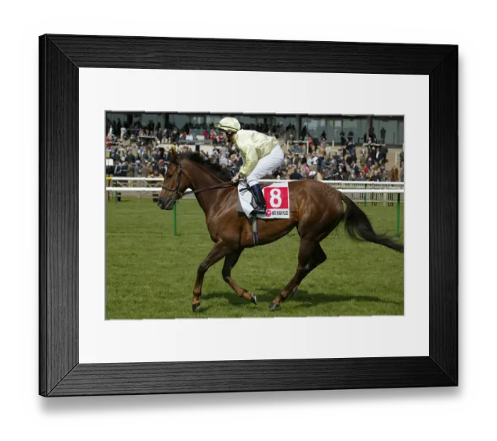 Framed Print : Cyclone Connie Framed Print : Cyclone Connie