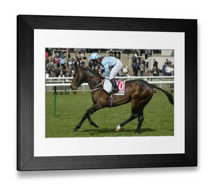 Framed Print : Falcon Hill Framed Print : Falcon Hill