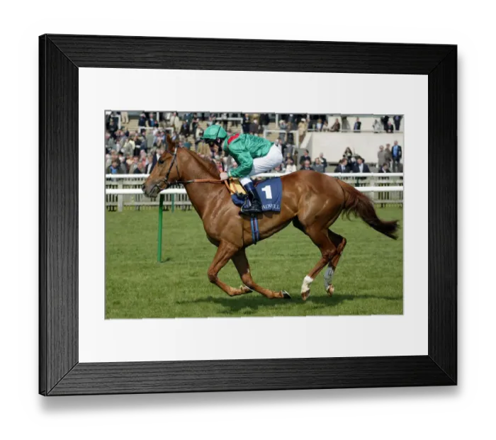 Framed Print : Alasha Ridden By J.Murtagh Newmarket Races Newmarket Racecourse Framed Print : Alasha Ridden By J.Murtagh Newmarket Races Newmarket Racecourse