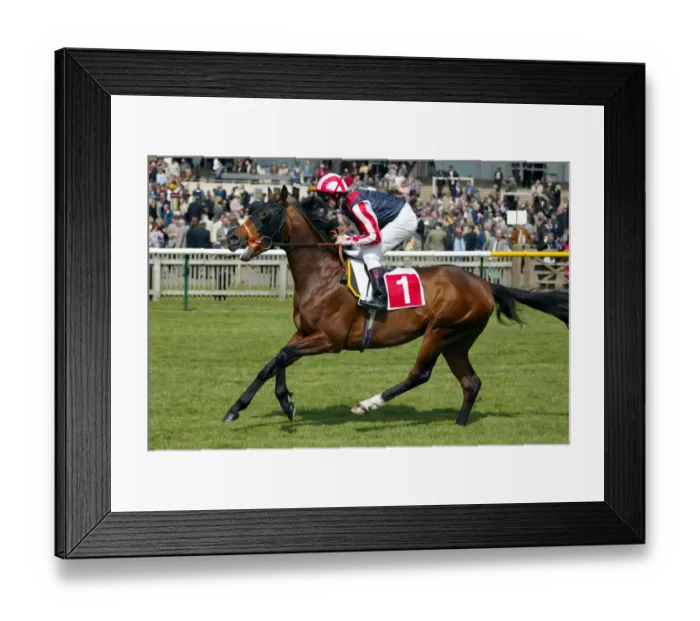 Framed Print : Allenby Ridden By Dane O Neil Newmarket Guineas Festival Newmarket Racecourse Framed Print : Allenby Ridden By Dane O Neil Newmarket Guineas Festival Newmarket Racecourse